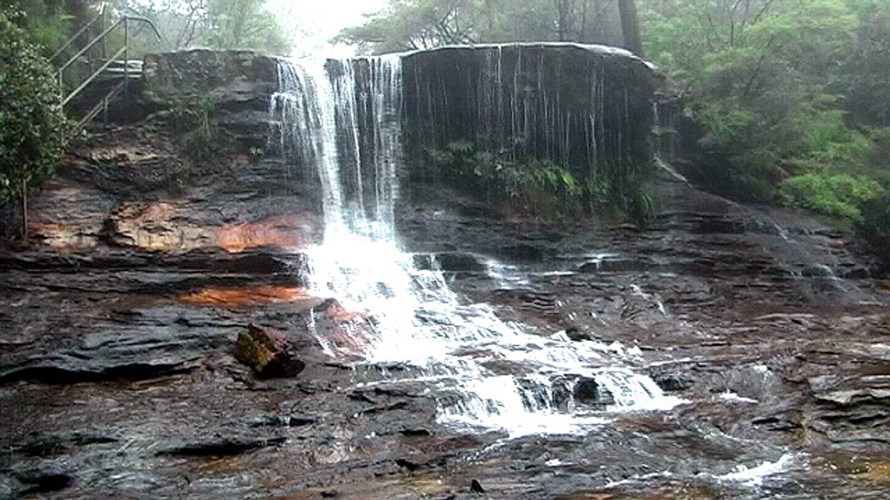 dag 4-5: Sydney - Jervis Bay - Blue Mountains 3-4/11/15