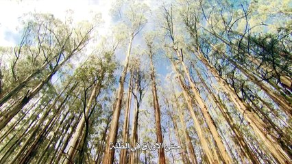 عجائب الحياه الحلقه الرابعه مسأله الحجم