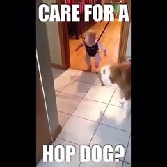 dog care for baby