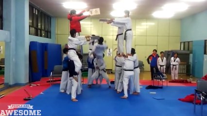 PEOPLE ARE AWESOME (Martial Arts Edition)