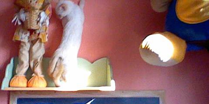 001 rose noelle momas avec la petite (neige)