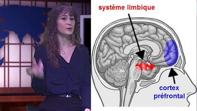 Interview avec Hélène MONIER, doctorante au centre de recherche de l'Ecole nationale supérieure de la Police