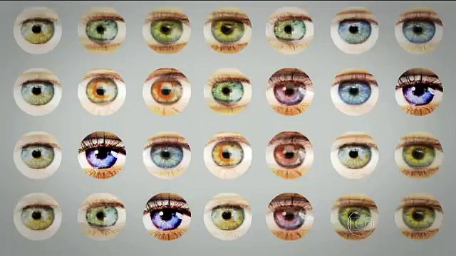 Fantástico exibe matéria da terceira fase da Operação Andaime que prendeu sete pessoas. Veja: