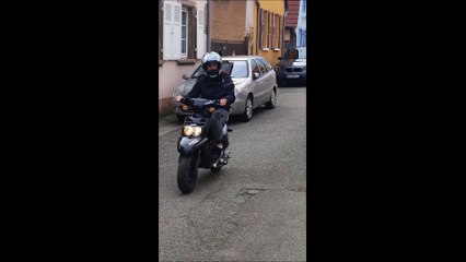Pas de gros câlin pour le Professeur Djack D' Alsace Brumath