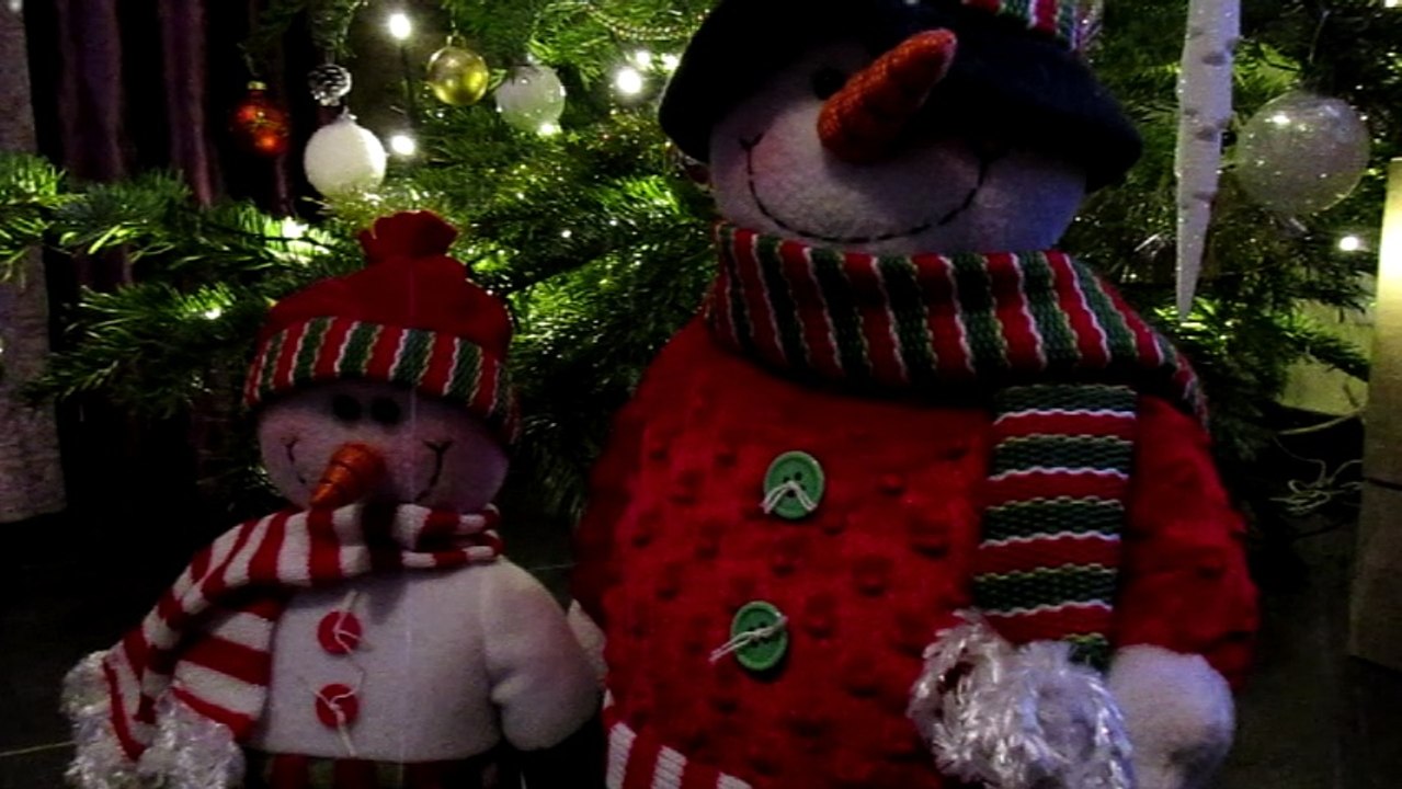 Bonhommes Voeux 2016