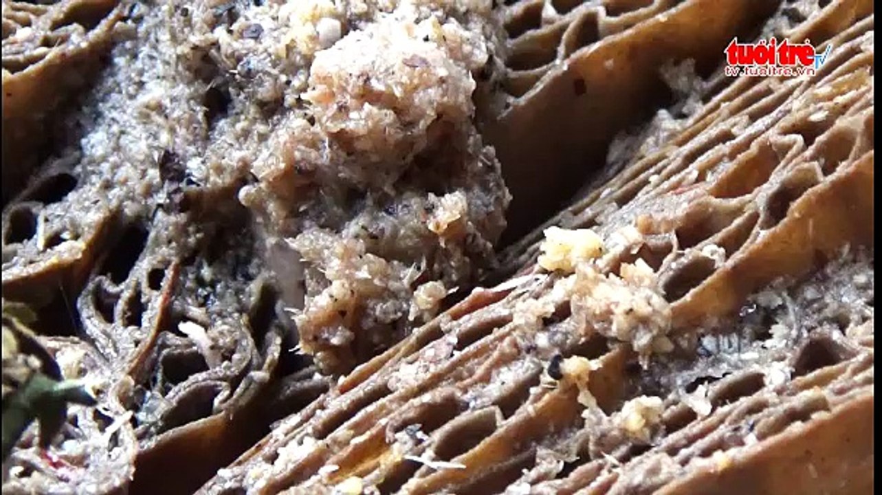 Thầy giáo tiểu học kiếm tiền rủng rỉnh nhờ mê ruồi