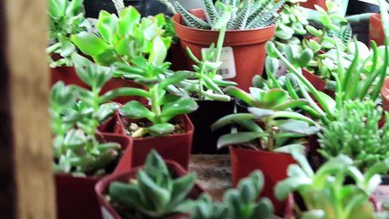 HOUSE HUNTING IN PORTLAND!