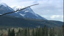 Un mort et plusieurs blessés dans deux avalanches au Canada