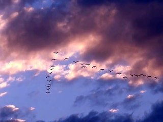 Высоцкий - Песня о конце войны