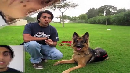 How to teach any dog to Come when called.........