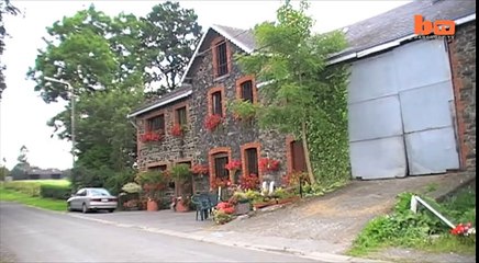 The Cow With 2 Heads