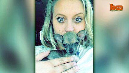 Turbo-Roo Cute Two-Legged Chihuahua Given Wheels To Move Independently