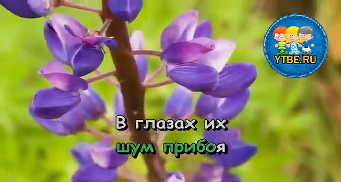 Орленок песня караоке. Орленок песня караоке. Детская песня бескозырка белая видео. Орлёнок караоке. Лилия айлинер ла-гибрид.