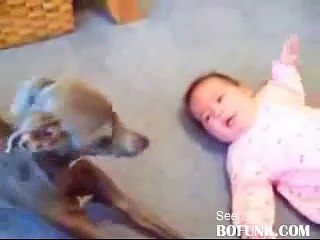 Crying Dog vs Crying Baby