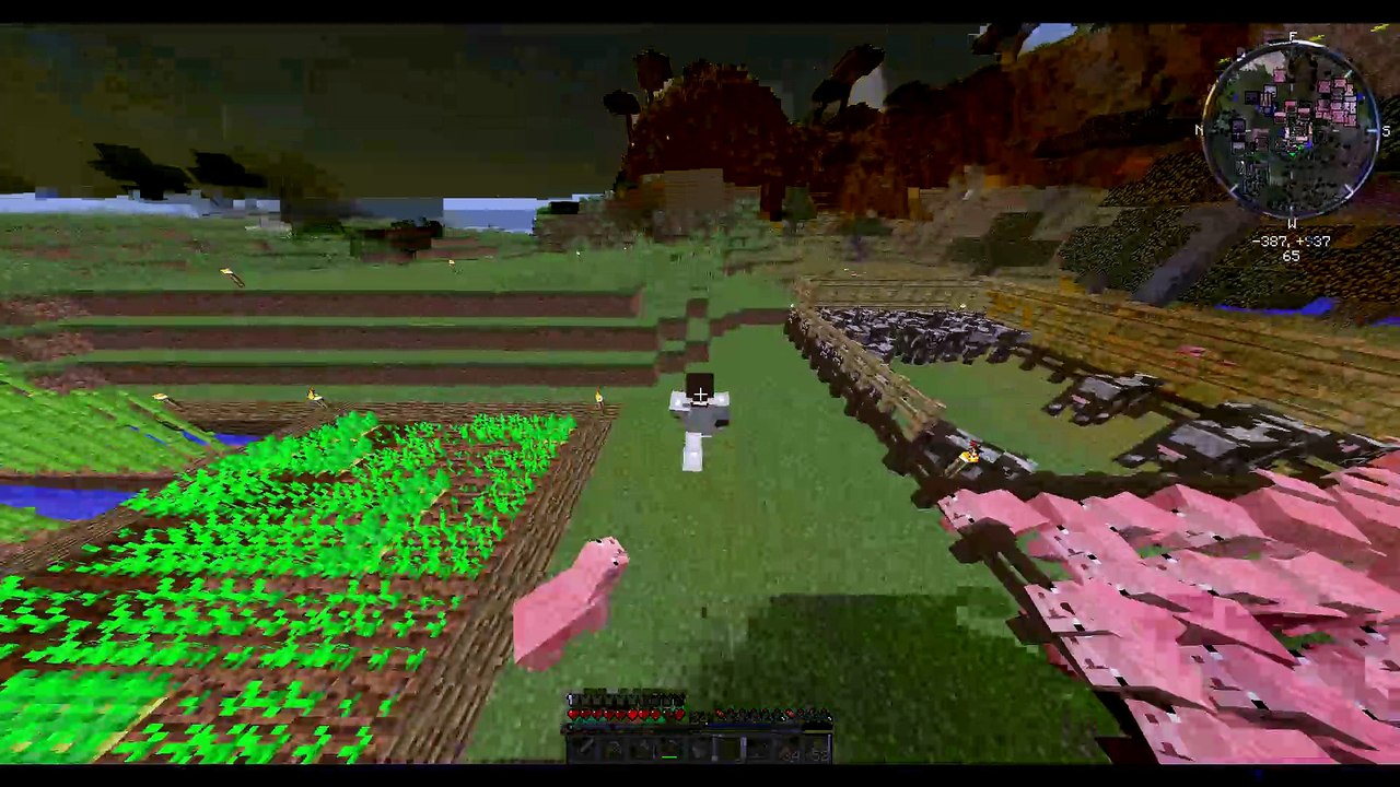 Minecraft Farmen #22