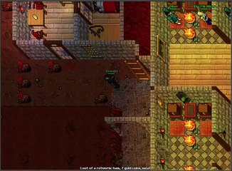 Gameplay Tibia Server Part8 No sounds for the Game