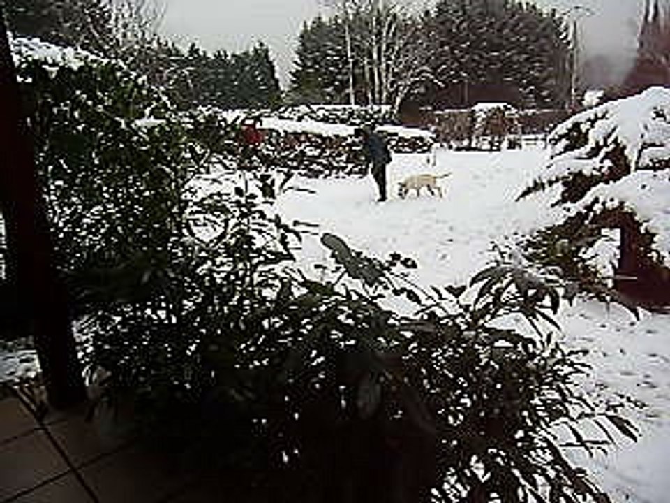 Tom boules de neige