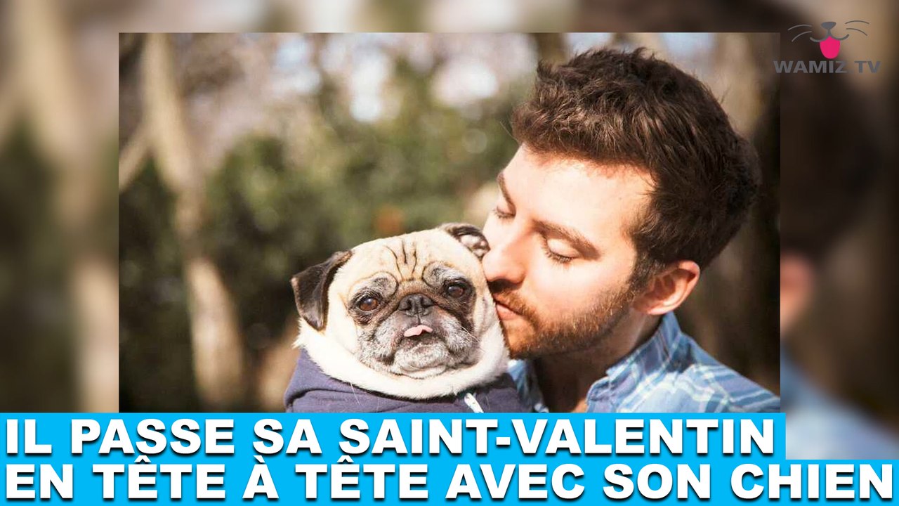 Il passe sa Saint-Valentin en tête à tête avec son chien ! On en parle dans la minute chien #139