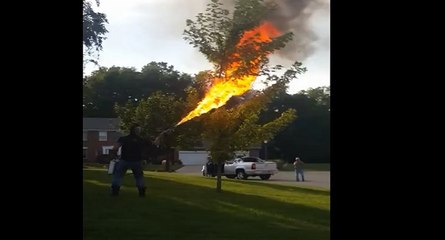 Un Texan détruit un nid de frelons avec un lance-flamme