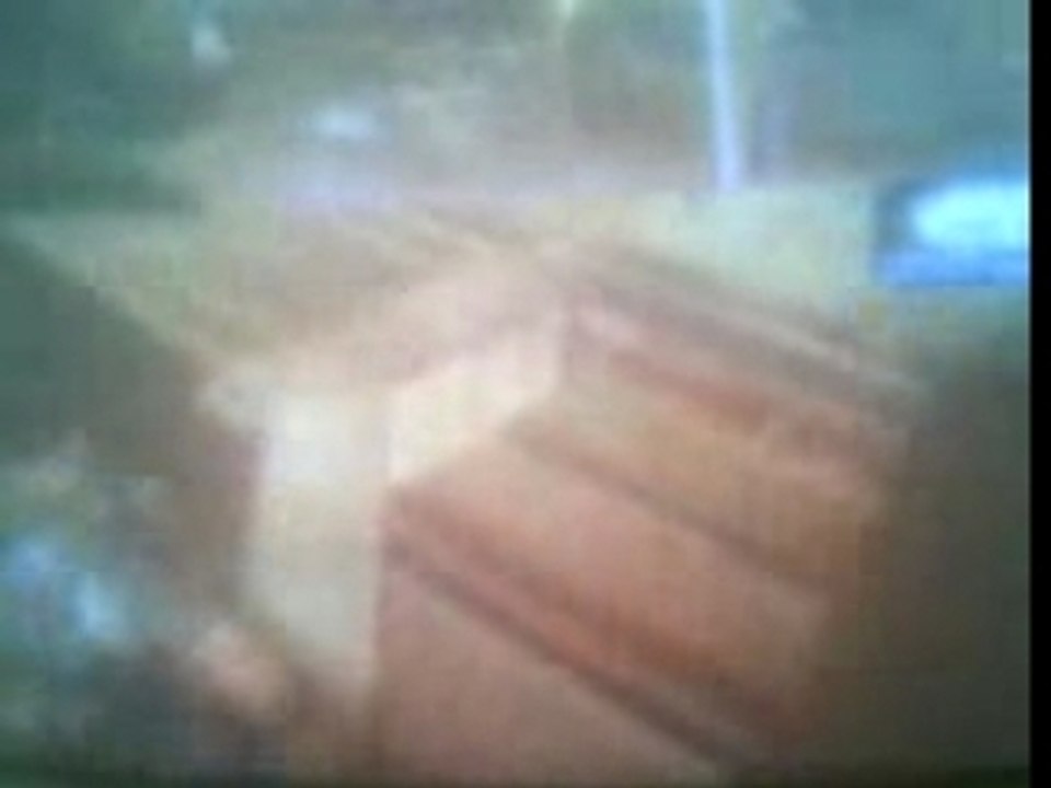 Bug gears of war TatouMagnum et K2o le cobra