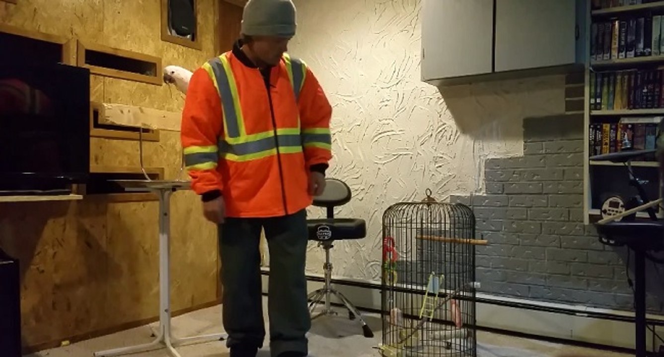 Il nous explique comment fixer une cage d'oiseau