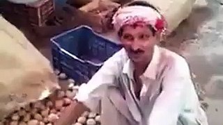 Punjabi Song On Vegetables