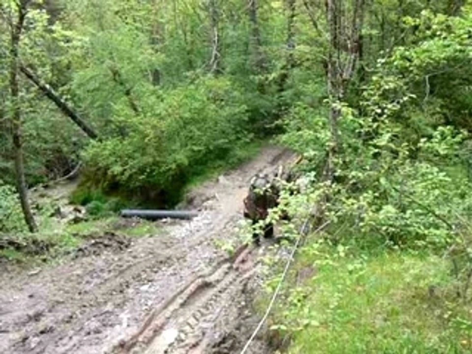 Porteur de débardage, Dévoluy (mai 2007)