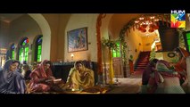 Mann Mayal Episode 5 on Hum Tv Full - 22nd February 2016