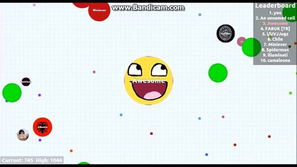Agar.io Solo 1000 mass Episode 05
