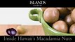 Islands Audio: Hawaii’s Macadamia Nuts