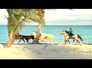 Marlin University Dominican Republic 2011