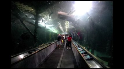 GoPro Hero3 Sample Video