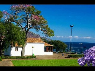 Marlin University in Madeiera