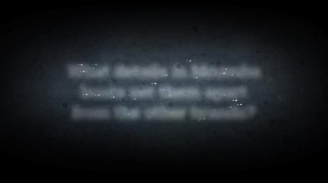 What details in Moomba boats set them apart from the other brands?