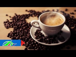 Coffee Là Việt: Cà phê của người Việt | LTV