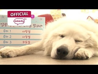 [얼짱TV 17회 ] 홍영기 PD의 사생후기 eps15 '얼짱견 상근이'