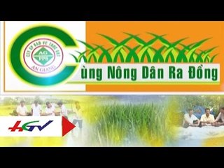 Phòng trừ dịch hại lúa trên vụ Thu Đông | HGTV