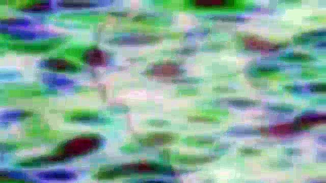 Assistir Online Anime 009-1 episódio 03 Dublado em Português