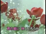 懐メロカラオケ　「五月のバラ」　原曲 ♪松崎しげる