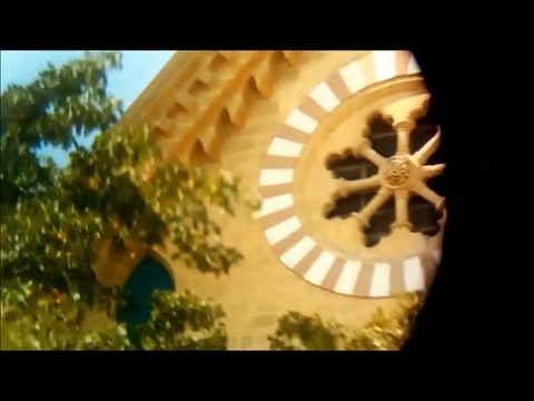 little face of life 2