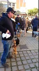 Tiersegnung Teil 2 Calella/ Barcelona (Latest Sport)