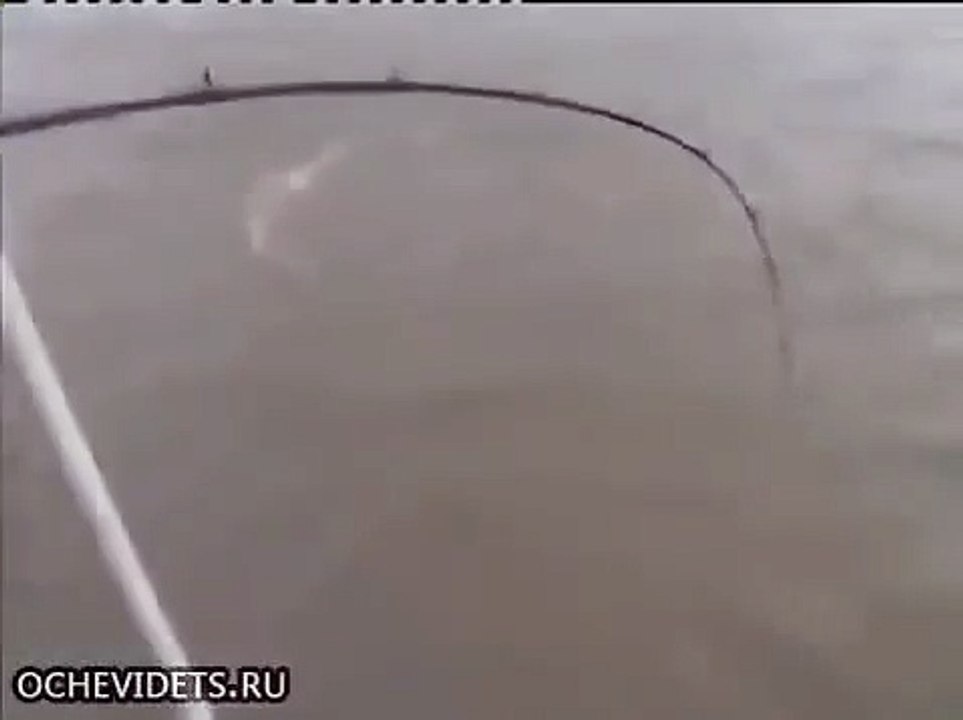 Ловили рыбу, а поймали крокодила! Случай на рыбалке. Необычная рыбалка