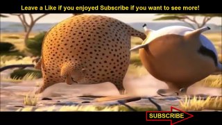 Funny Cats - Funny Cat Videos - Funny Animal - Funny Cat - Funny Animals Compilation