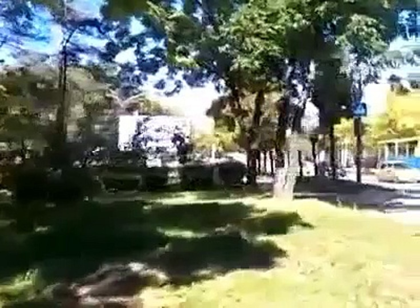 ⁣Осторожно!!! -- Дикий кабан в городе! Опасные животные. Случайный свидетель