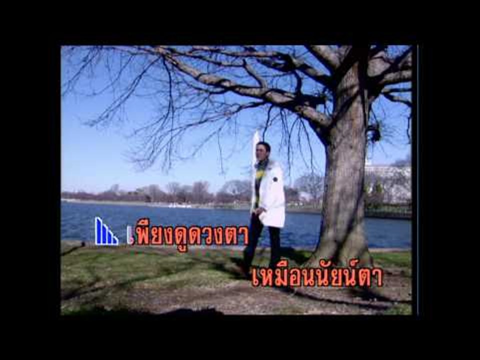 หน้าเนื้อใจเสือ - ธานินทร์ อินทรเทพ (KARAOKE)