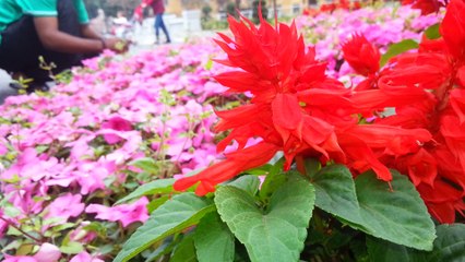 samsung s3 camera test | you can get here |official
