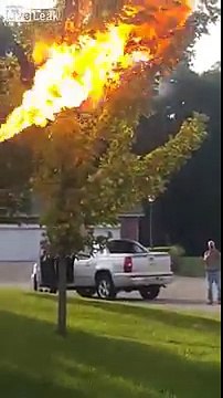 FLAMETHROWER VS HORNETS NEST