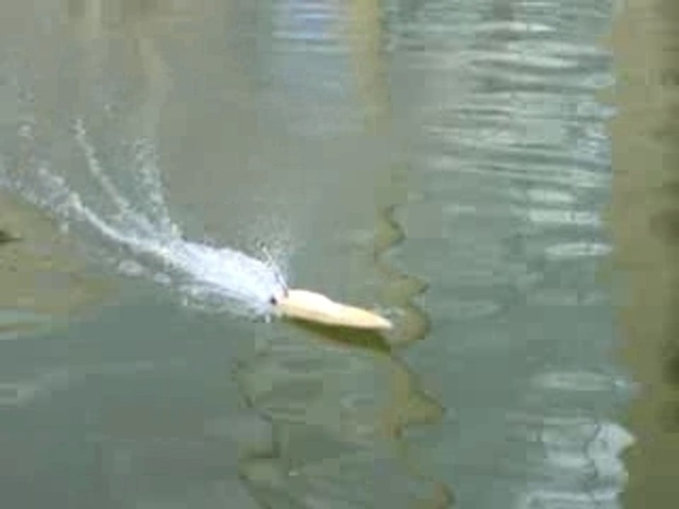 poulpito-evo_6 elements nimh 7.2v_1000mA