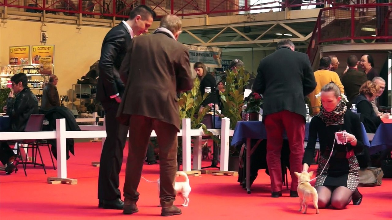 NATIONALE D'ELEVAGE BOURGES 2016 CCCE