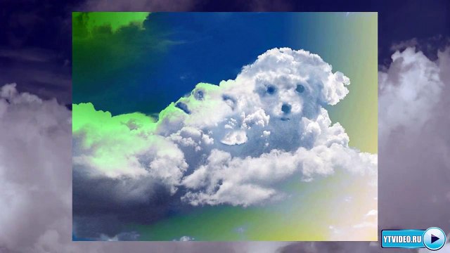 Детская минусовка Облака - белогривые лошадки из мультфильма Трям!Здравствуйте!